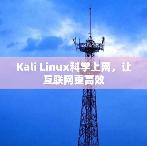 Kali Linux科学上网,让互联网更高效 Kali Linux科学上网,让互联网更高效