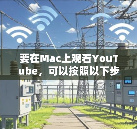 要在Mac上观看YouTube，可以按照以下步骤进行