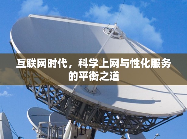 互联网时代，科学上网与性化服务的平衡之道