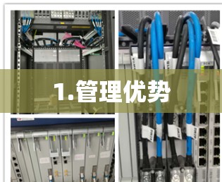 1.管理优势