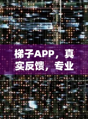 梯子APP，真实反馈，专业体验，专业规范—助您在建筑与室内设计中更高效