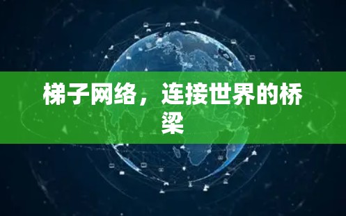 梯子网络,连接世界的桥梁 梯子网络,连接世界的桥梁