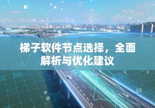梯子软件节点选择，全面解析与优化建议