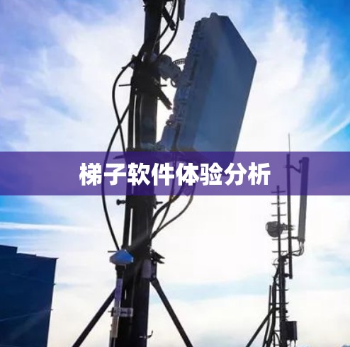 梯子软件体验分析