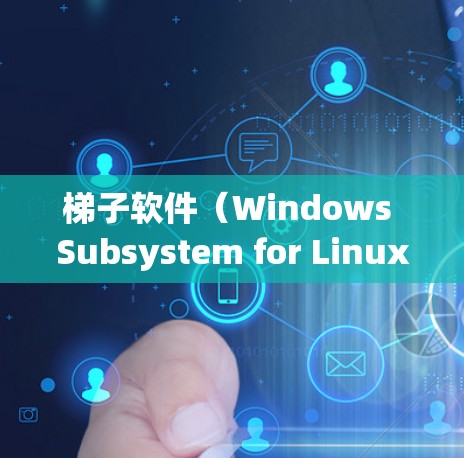 梯子软件（Windows Subsystem for Linux）的长期稳定体验主要取决于以下因素