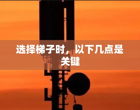 选择梯子时，以下几点是关键