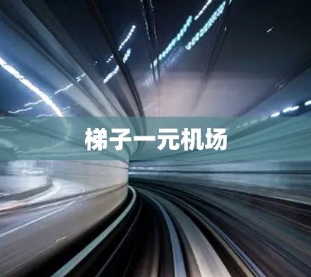 梯子一元机场