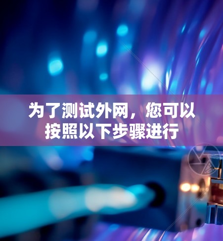 为了测试外网，您可以按照以下步骤进行