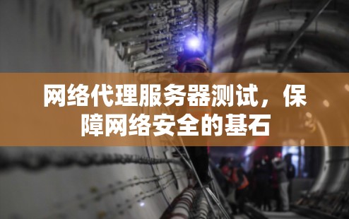 网络代理服务器测试,保障网络安全的基石 网络代理服务器测试,保障网络安全的基石