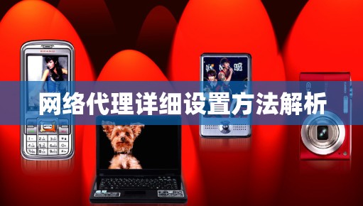 网络代理详细设置方法解析