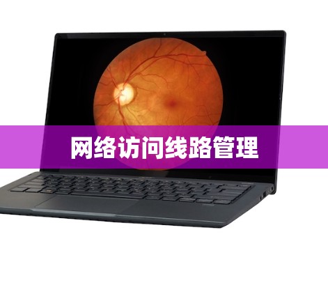 网络访问线路管理