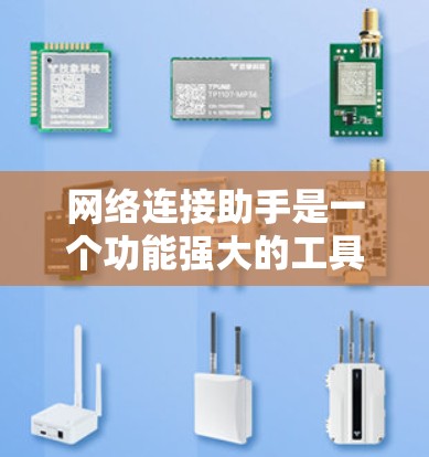 网络连接助手是一个功能强大的工具，用于管理网络流量和配置网络服务。以下是一个详细的使用指南，帮助你有效使用网络连接助手