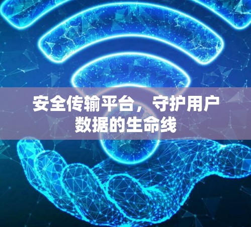 安全传输平台，守护用户数据的生命线