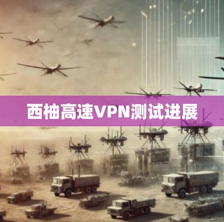 西柚高速VPN测试进展