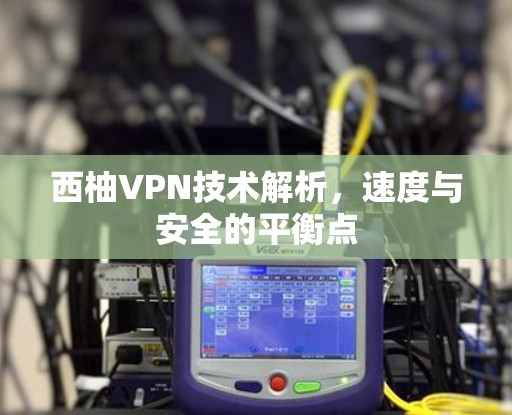 西柚VPN技术解析，速度与安全的平衡点