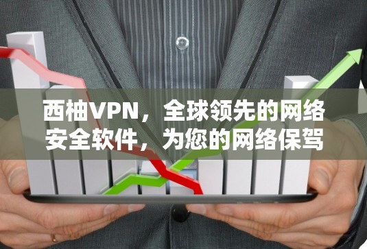 西柚VPN，全球领先的网络安全软件，为您的网络保驾护航