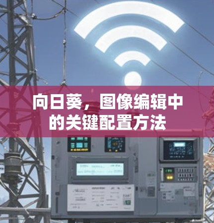 向日葵，图像编辑中的关键配置方法