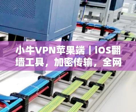 小牛VPN苹果端｜iOS翻墙工具，加密传输，全网覆盖，轻松连接