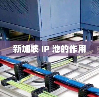新加坡 IP 池的作用