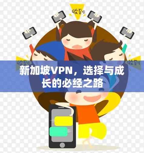 新加坡VPN，选择与成长的必经之路