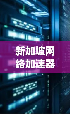 新加坡网络加速器，如Fiber、Sprong和Nestel，是针对移动设备设计的，旨在提供快速的网络连接。这些加速器的主要特点包括