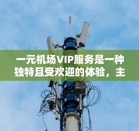 一元机场VIP服务是一种独特且受欢迎的体验，主要集中在登机前和登机后，满足不同乘客的需求。以下是对VIP服务的详细总结