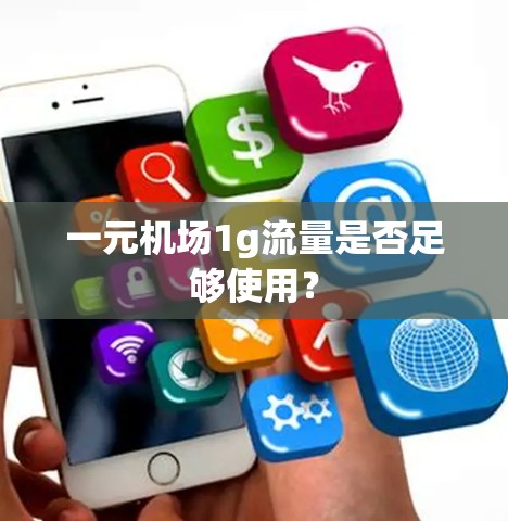 一元机场1g流量是否足够使用？
