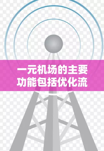 一元机场的主要功能包括优化流程、自动化设备使用和减少人员负担。以下是详细的解释