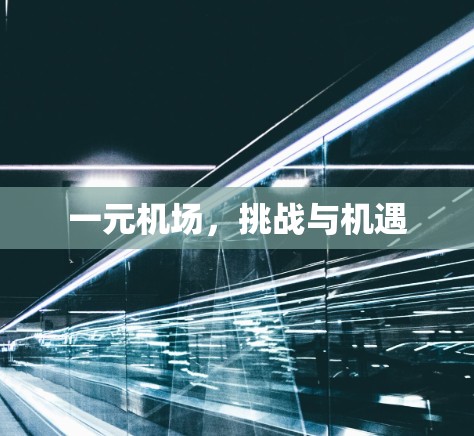一元机场，挑战与机遇