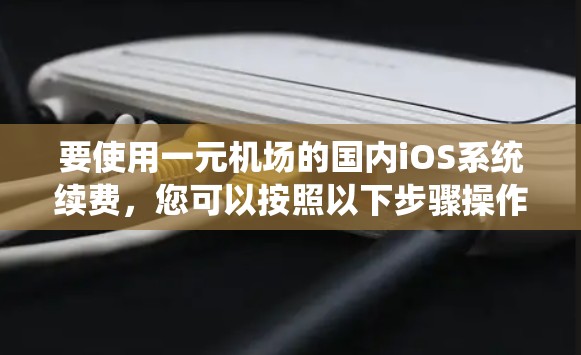 要使用一元机场的国内iOS系统续费，您可以按照以下步骤操作