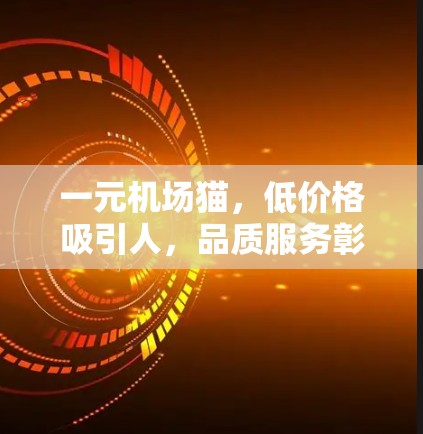 一元机场猫，低价格吸引人，品质服务彰显贴心