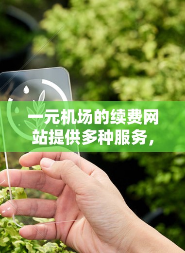 一元机场的续费网站提供多种服务，帮助旅客在机场等待时获得必要的行李分发或夹带服务。以下是关于续费网站的主要内容