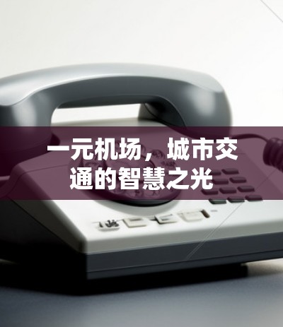 一元机场，城市交通的智慧之光