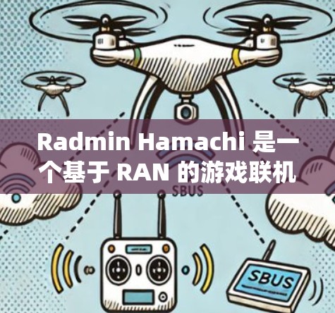Radmin Hamachi 是一个基于 RAN 的游戏联机VPN系统，分为多个模块支持不同的功能需求。以下是其功能模块的详细描述