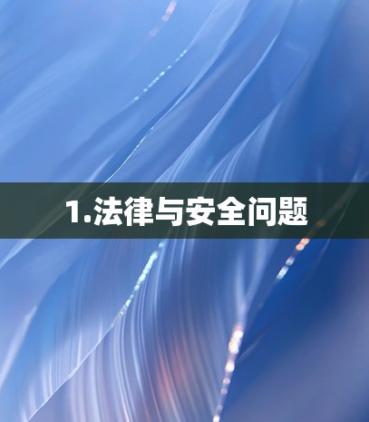1.法律与安全问题